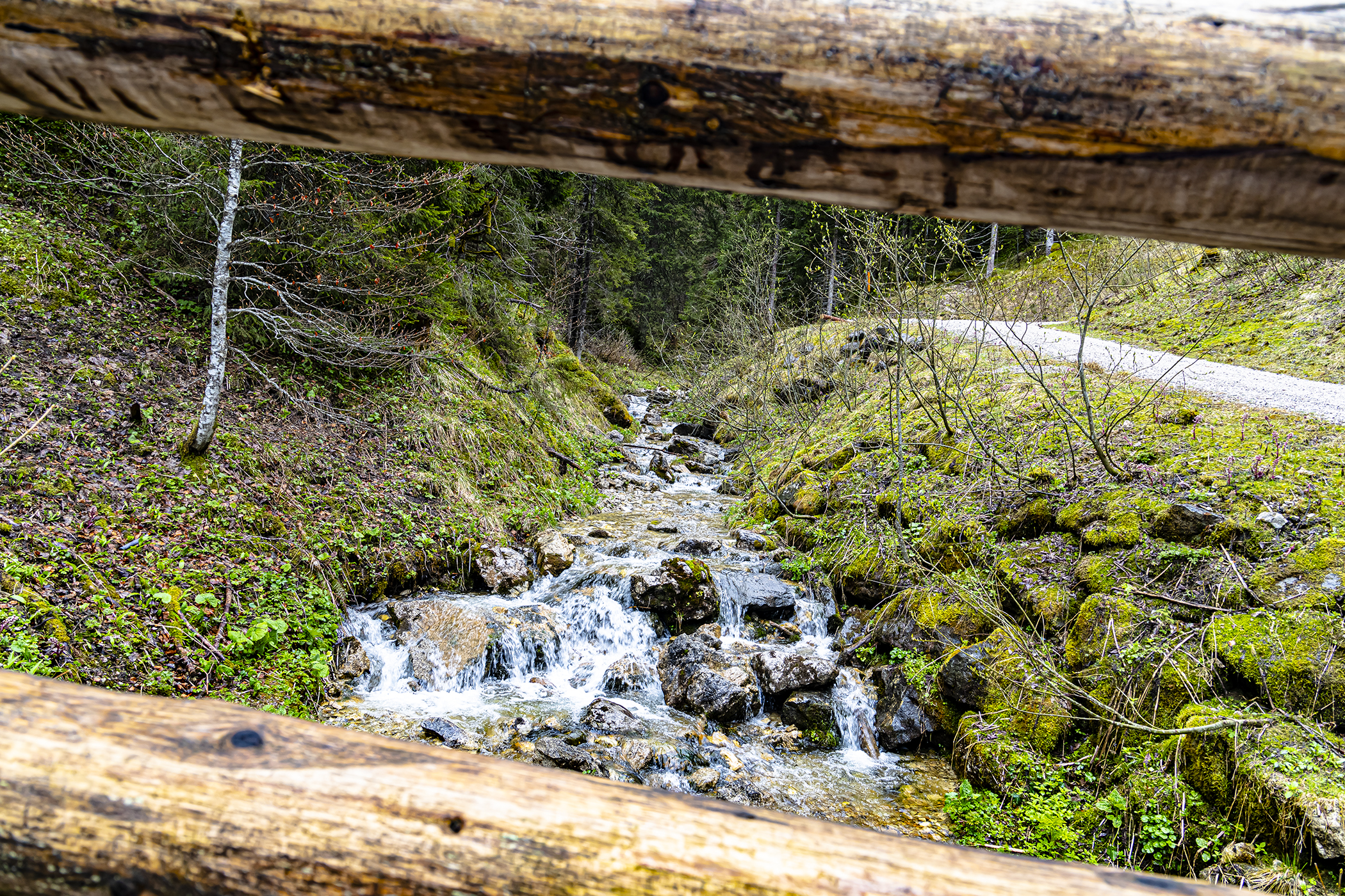 Bach an der Drehhütte