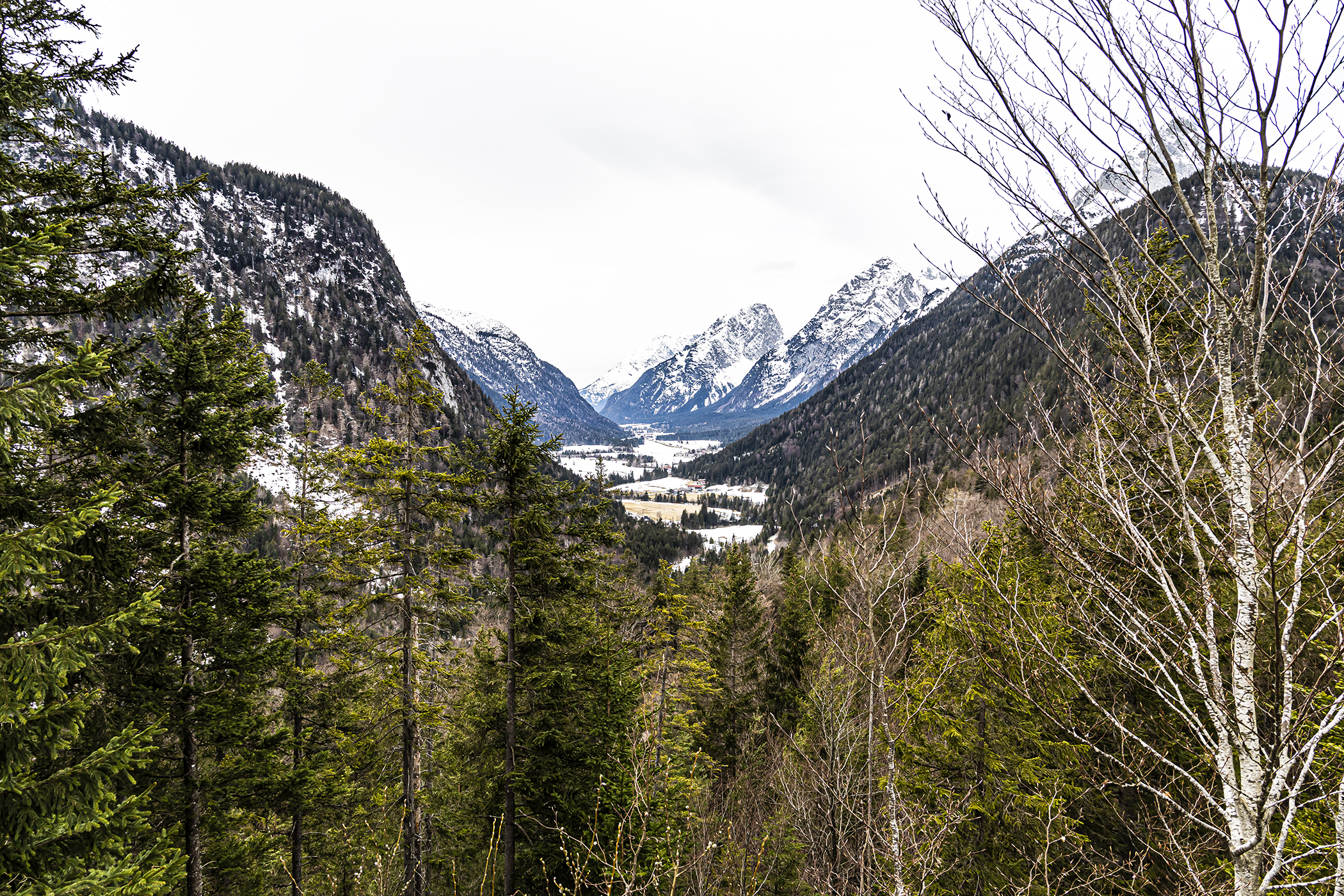 Ederkanzel Alm Blick nach Leutasch