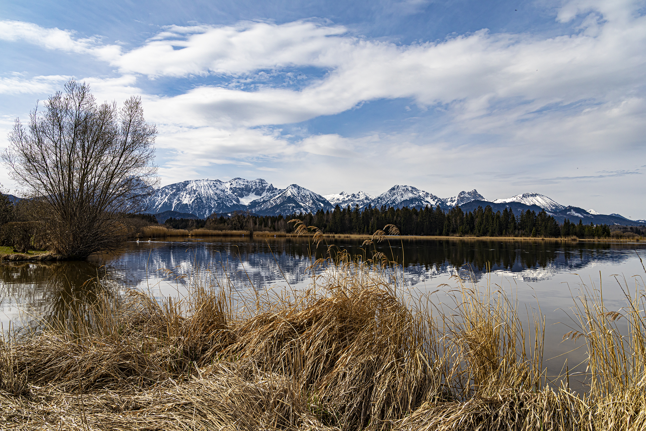 Hopf am See Blick auf die Allgäuer Alpen