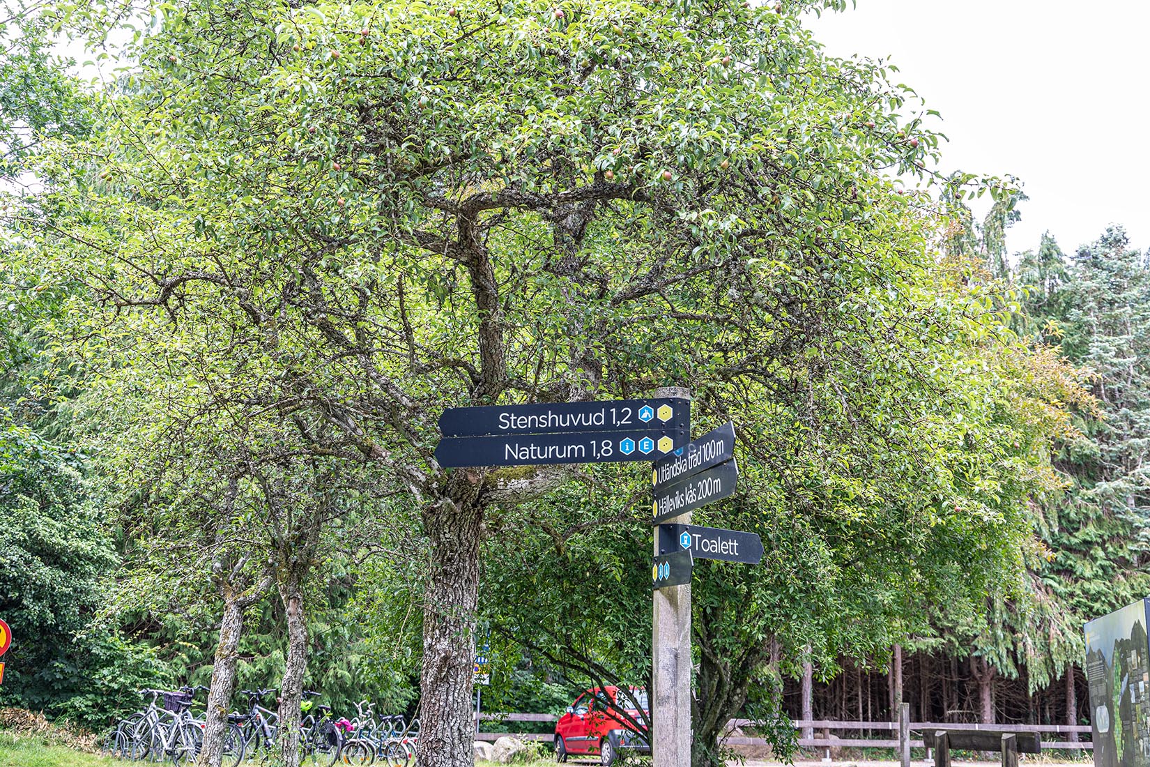 Wanderschild Stenshuvud