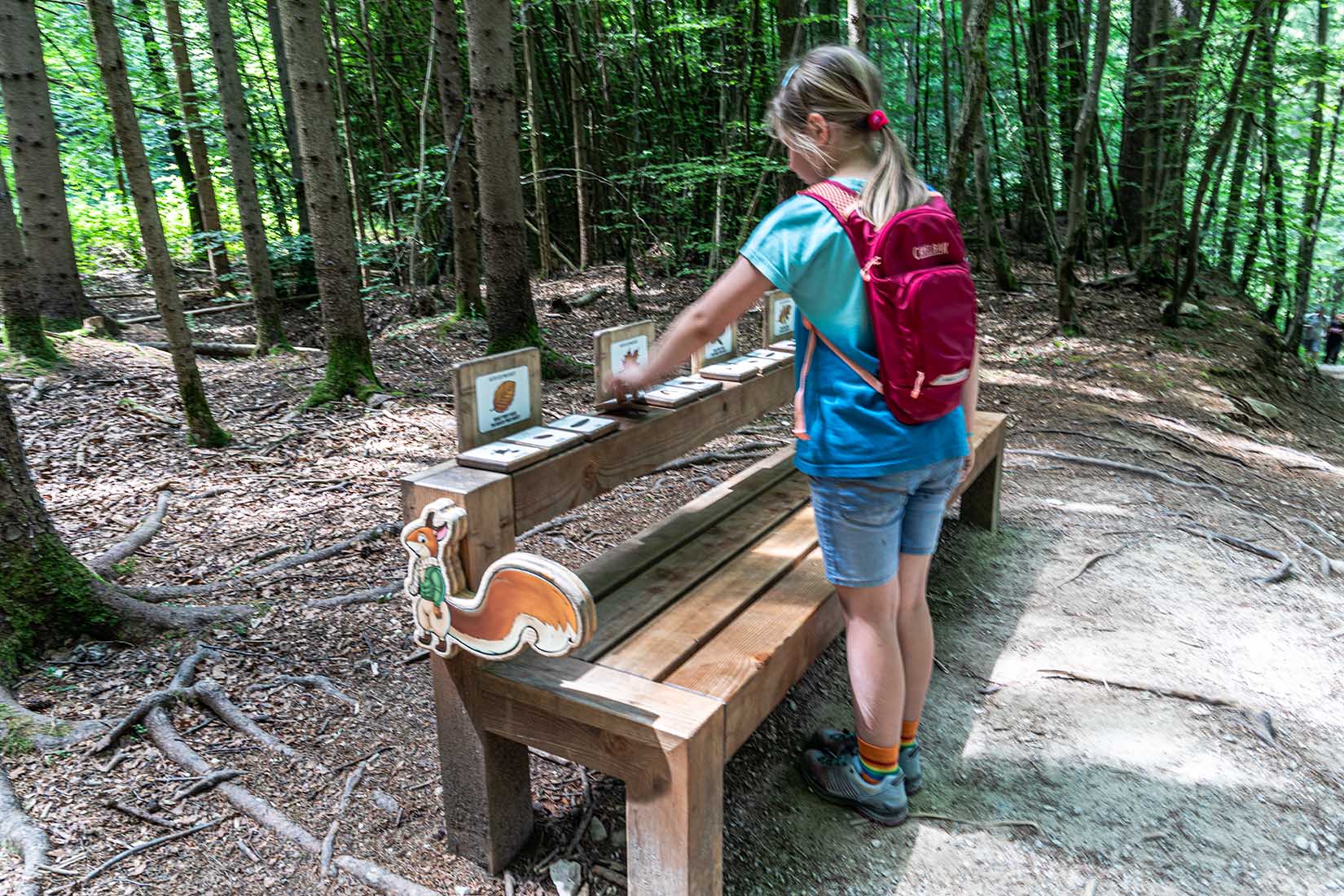 Kinder Erlebnisweg Ratespiele Vintgar Klamm Bled