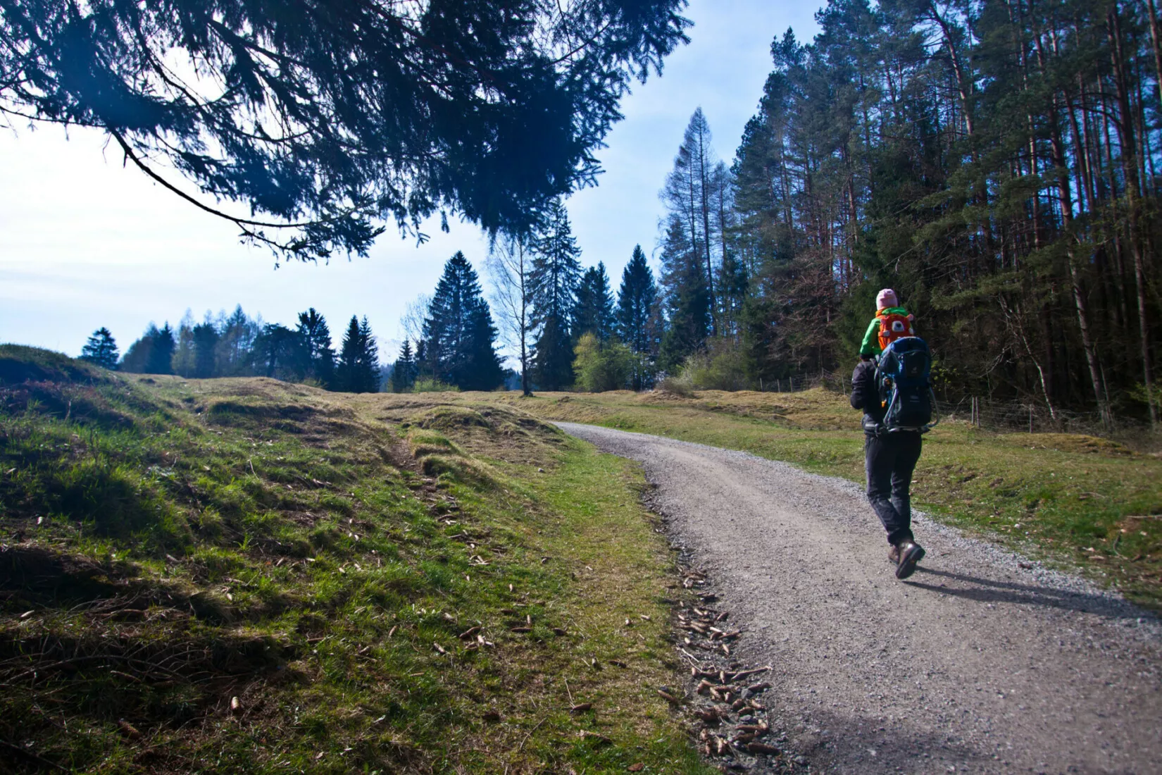 Pfeiffer Alm Wanderweg