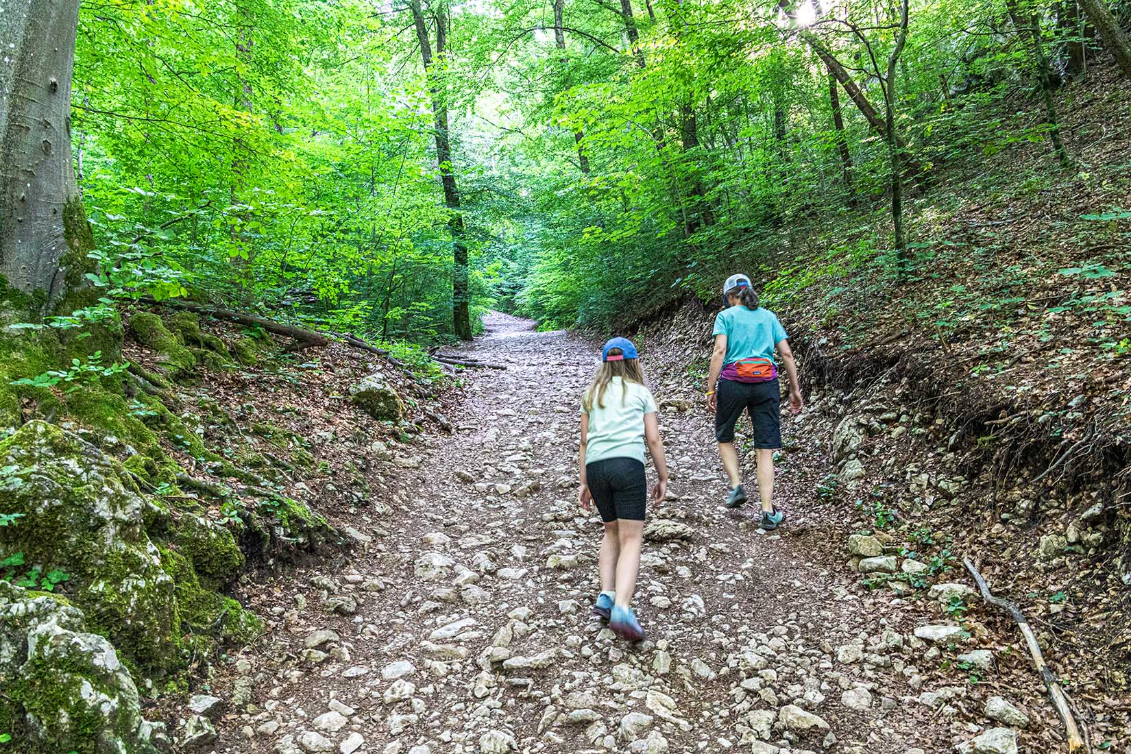 Wanderweg zum Aussichtspunkt Ojstrica - Bled