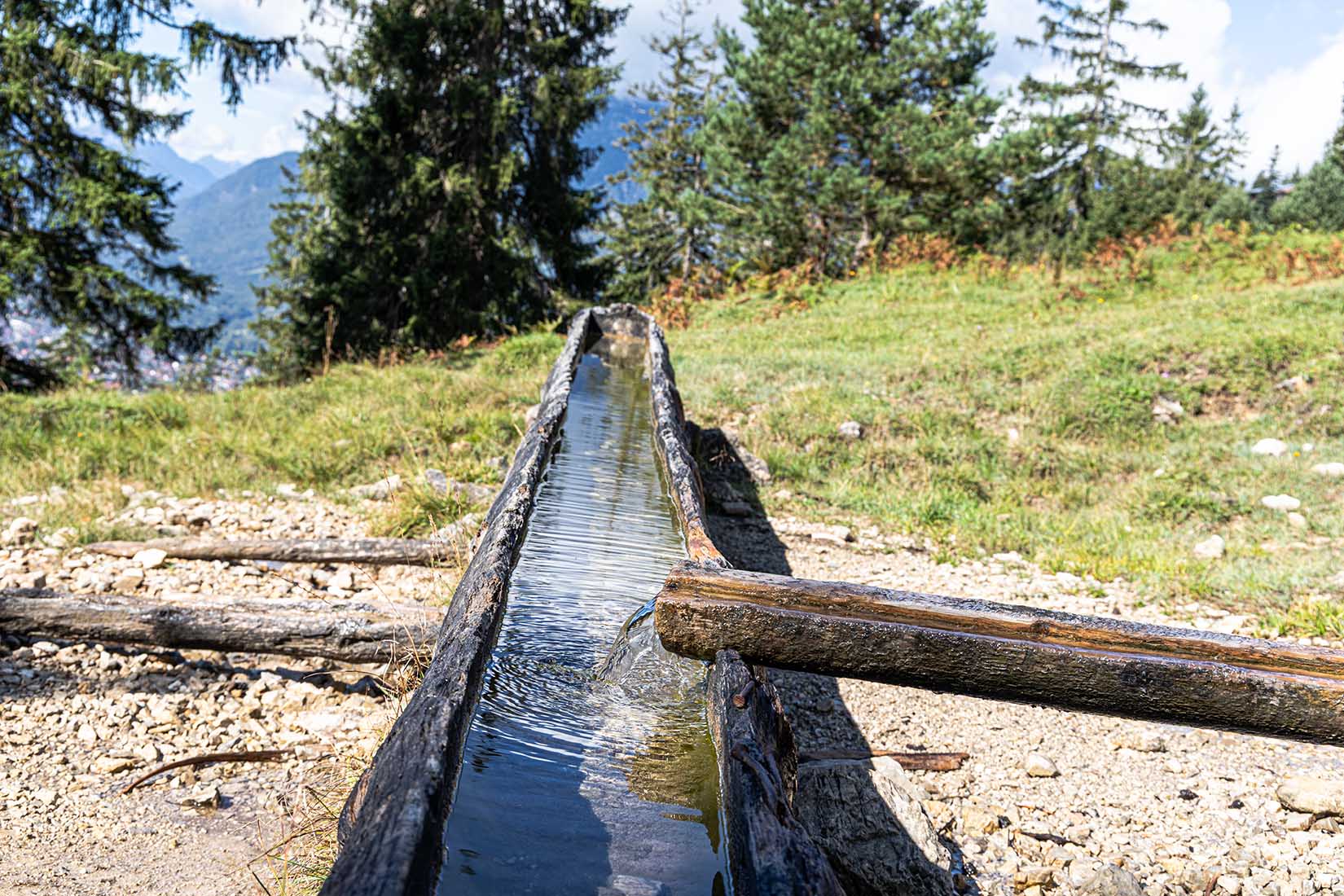 Wasserbecken Tannenhütte