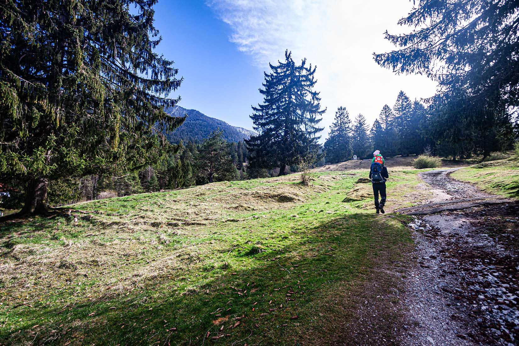 Weg Pfeffer Alm