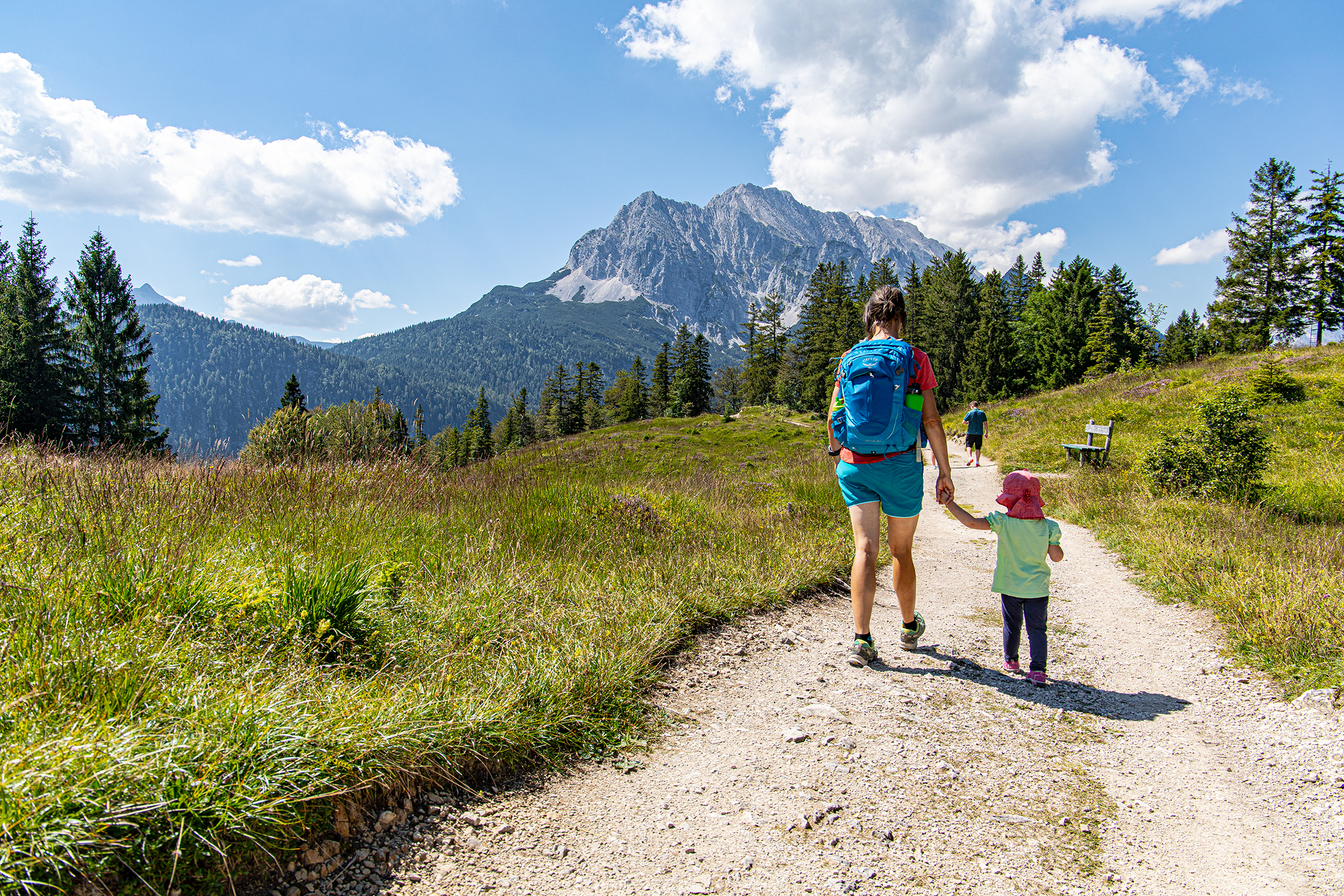 Weg am Hohen Kranzberg