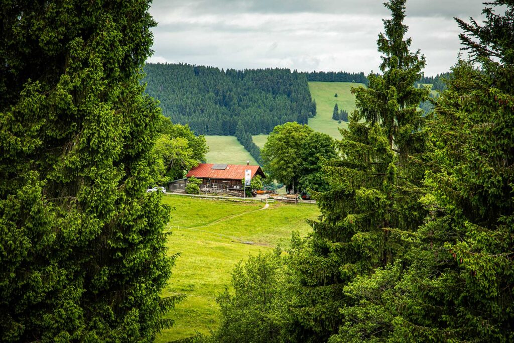 Pfarralpe bei Missen