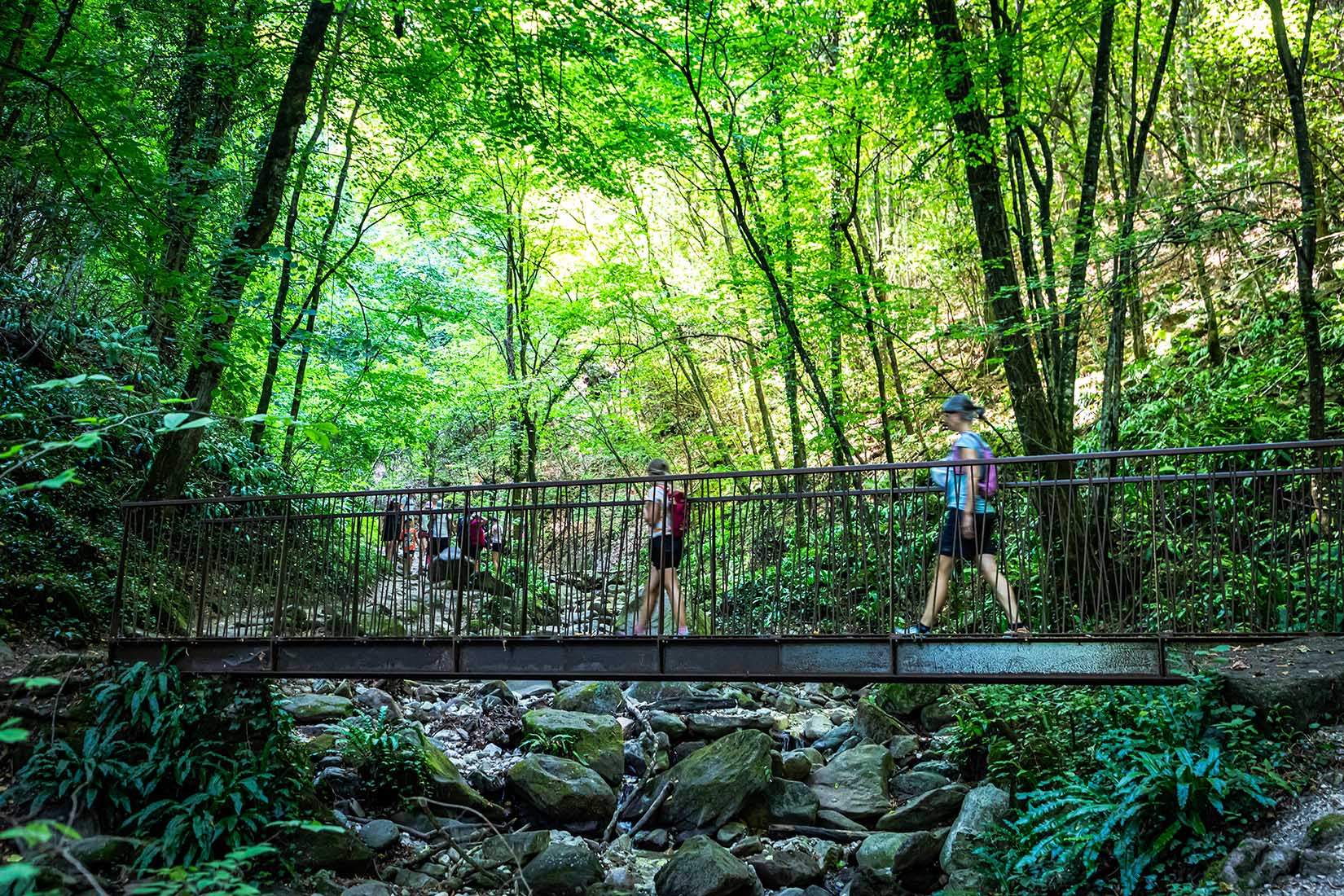 Brücke Rastenbachklamm