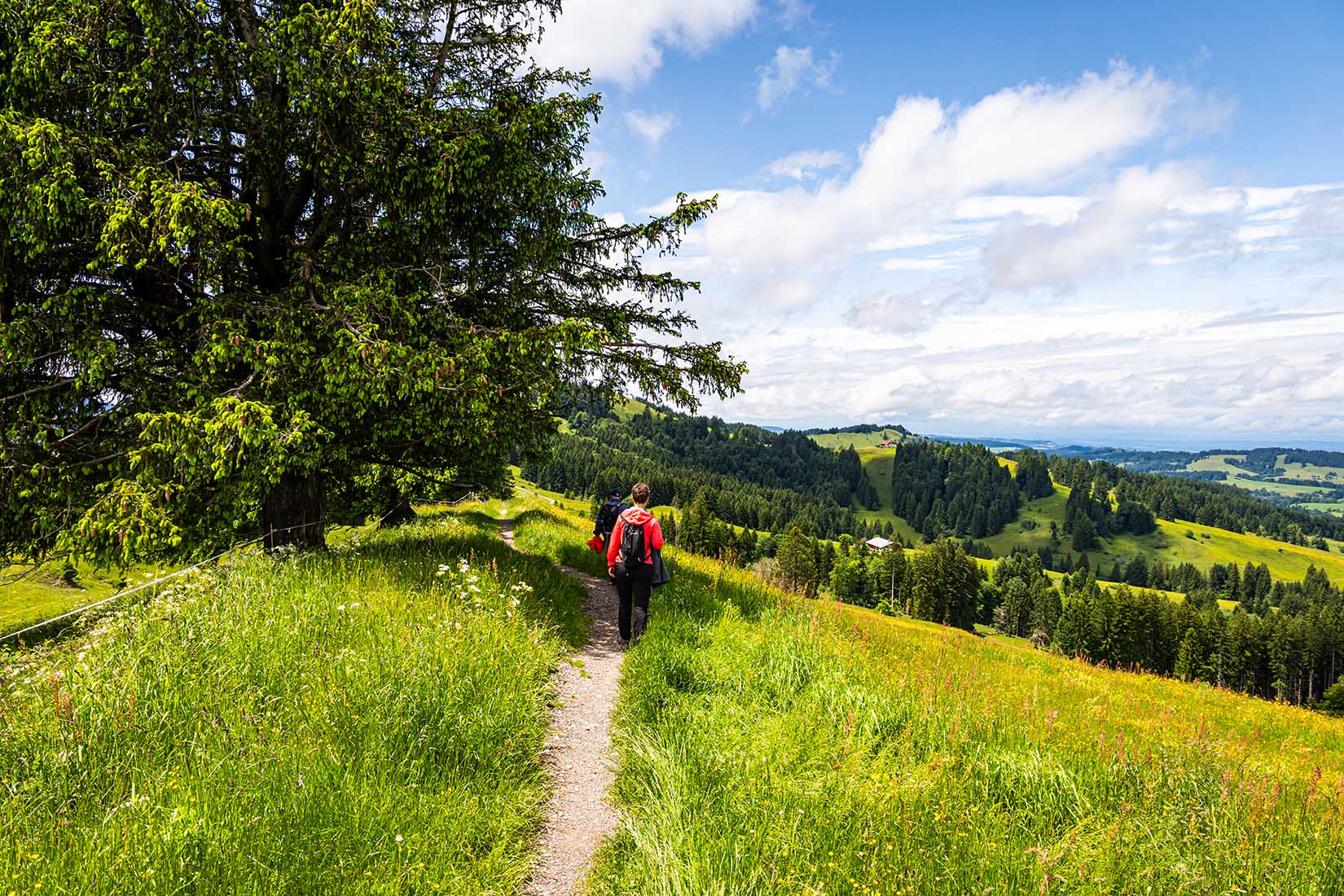 Pfarralpe Wanderweg