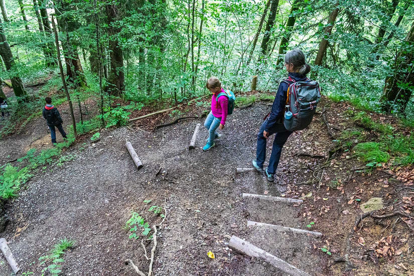 Wanderweg Buchenegger Wasserfälle