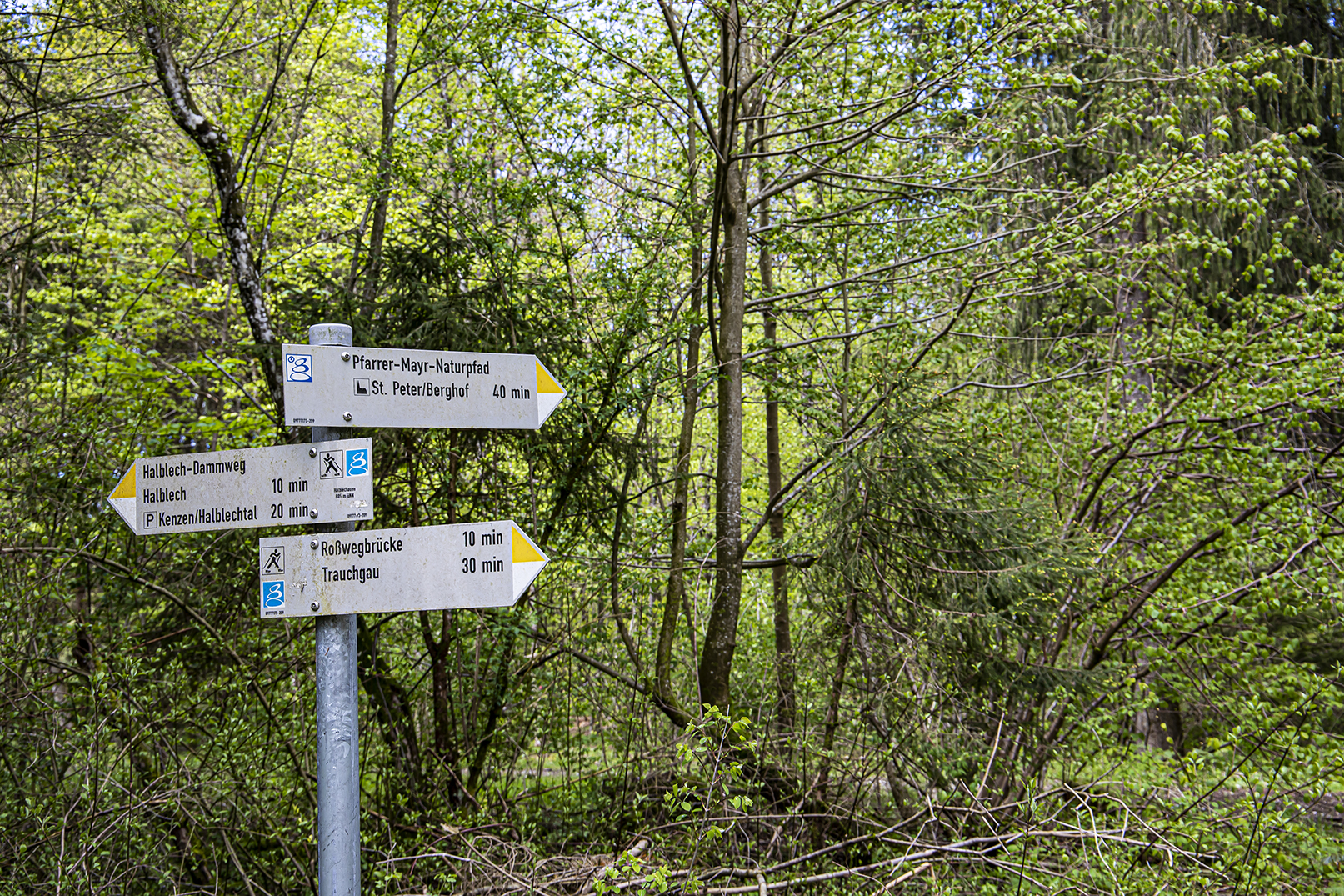 Wegweiser - Pfarrer Mayr Naturpfad